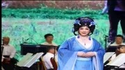 茂腔《罗衫记》张美香演唱会 戏曲下载免费mp4高清下载