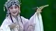 昆曲《牡丹亭游园惊梦》选段 张志红戏曲免
