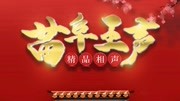 《桥头诗》苗阜王声2020最新相声专场第19集  观众看得很开心下载