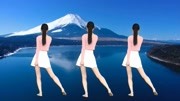 广场舞《老年迪斯科》背面演示 广场舞健身