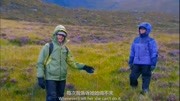 野外求生单身狗慎入一个求生节目竟然让我吃狗粮下载