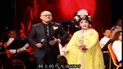 茂腔《天仙配》张美香演唱会 刘佳助演 茂腔mp3免费下载戏曲下载