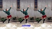 新生代广场舞 《山花花》初学广场舞一步一步教下载