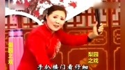 河南坠子长篇全集下载《王二姐思夫》选段 坠子名家 莫红梅演唱下载