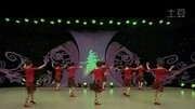 杨艺周思萍广场舞《南泥湾》适合在家里跳的减肥舞下载