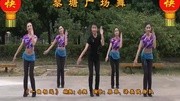 博白廖弟广场舞 《一曲相送》教学视频分解慢动作下载