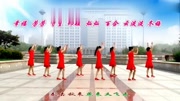 金灿灿广场舞《等你等了那么久》原创入门舞蹈附教学 适合在家里跳的减肥舞下载