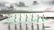 张春丽广场舞《桃花珺珺杨柳依》团队版2019