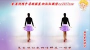 金灿灿广场舞《晚秋》在家跳最简单的健身舞下载