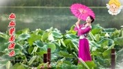 金灿灿广场舞《大约在冬季》适合在家跳的健身视频下载