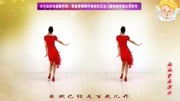 金灿灿广场舞《路边的野花不要采》适合在家里跳的减肥舞下载