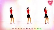 金灿灿广场舞《都说DJ》适合在家跳的健身视频下载
