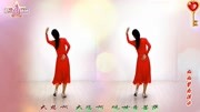 金灿灿广场舞《放下》2019最火简单的广场舞下载
