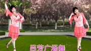 吕芳广场舞原创《梅花泪》正面分解教学学跳广场舞一步一步教慢动作视频下载