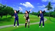 玫香广场舞《干就完了》DJ版2019最火简单的广场舞下载