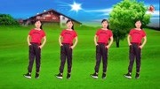 玫香广场舞《一个人挺好》DJ版在家跳最简单的健身舞下载