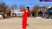新生代广场舞专辑视频免费mp4下载《纤夫的爱》分解动作详细一学就会下载