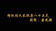 太极拳入门教程视频下载 传统杨氏太极拳八