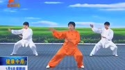 太极拳视频教程大全 05 郑冬霞 陈氏太极拳老架一路教学（16至18）