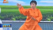 太极拳入门教程视频下载 04 郑冬霞 陈氏太极拳老架一路教学（12至15）