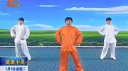 太极拳视频教程大全 03 郑冬霞 陈氏太极拳老架一路教学（8至11）