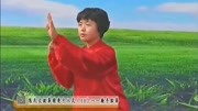 太极拳视频教程大全 10 郑冬霞 陈氏太极拳精要十八式（第10式）