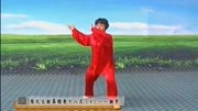太极拳视频教程大全09 郑冬霞 陈氏太极拳精要十八式（第9式）