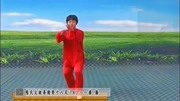 太极拳视频教程大全08 郑冬霞 陈氏太极拳精要十八式（第8式）