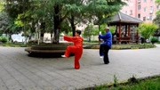 太极拳入门教程视频下载 传统杨氏八十五太极拳（张忠杏  肖金仙）下载