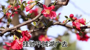 石家庄丝弦戏曲大全免费下载《秦香莲后传》