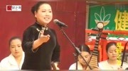 河南坠子mp3下载免费《黄鹤楼》演唱 王雪玲下载