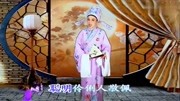 经典越剧mp4下载《我家有个小九妹》贺玲表演下载