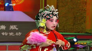 豫剧mp4免费下载网《花打朝》选段 尚嘉宝 