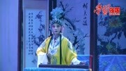 山东吕剧mp4免费下载《逼婚记》但愿得梦中桃李伴东风  张明霞演唱下载