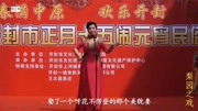 河南坠子大全mp3下载免费《借髢髢didi》 演唱 李爱红