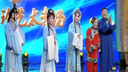 河南曲剧下载免费mp3《陈三两》致敬曲剧皇后张新芳 三朵梅花同唱下载