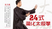 太极拳入门教程视频下载 24式简化太极拳 桩