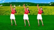 玫香广场舞全部视频《牛郎织女》广场舞教程初级舞步视频免费下载下载