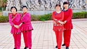 糖豆广场舞教程视频大全下载《一生离不开的是你》双人对跳舞零基础看了就会下载