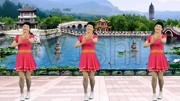 糖豆广场舞视频大全免费下载《情火》全网最火32步零基础版本下载