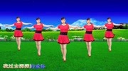 玫香广场舞mp4免费下载《当做没有爱过我》附正背面教学下载