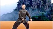 陈正雷 讲解陈氏太极拳精要十八式第五式 六