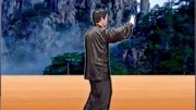 陈正雷 讲解陈氏太极拳精要十八式第八式 斜