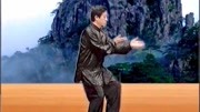 陈正雷 讲解陈氏太极拳精要十八式第九式 搂
