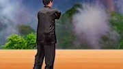 陈正雷 讲解陈氏太极拳精要十八式 第十三式