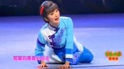 黄梅戏免费下载网站《槐花谣》选段 表演 湖