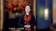 越剧下载免费视频mp4免费下载《祥林嫂》选