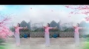 糖豆广场舞视频大全集mp4免费下载《你像三月桃花开》下载