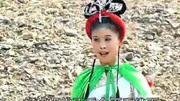 扬琴戏下载百度云盘《岳银梅下山闪目观我众