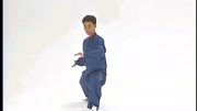 太极拳初学入门视频mp4免费下载 陳式太極拳56式（丁杰老师演练）下载